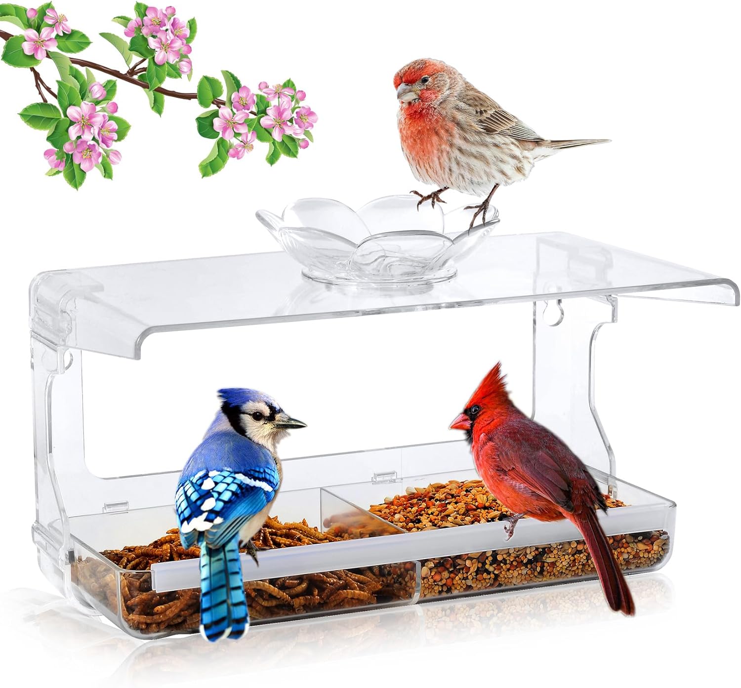 Window Bird Feeder with Non-Marking Self-Adhesive Hooks Garden Decor