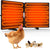 Foldable Chicken Coop Heater for Winter, 240W Large Size Waterproof Chicken Heater with 2 Heating Plates