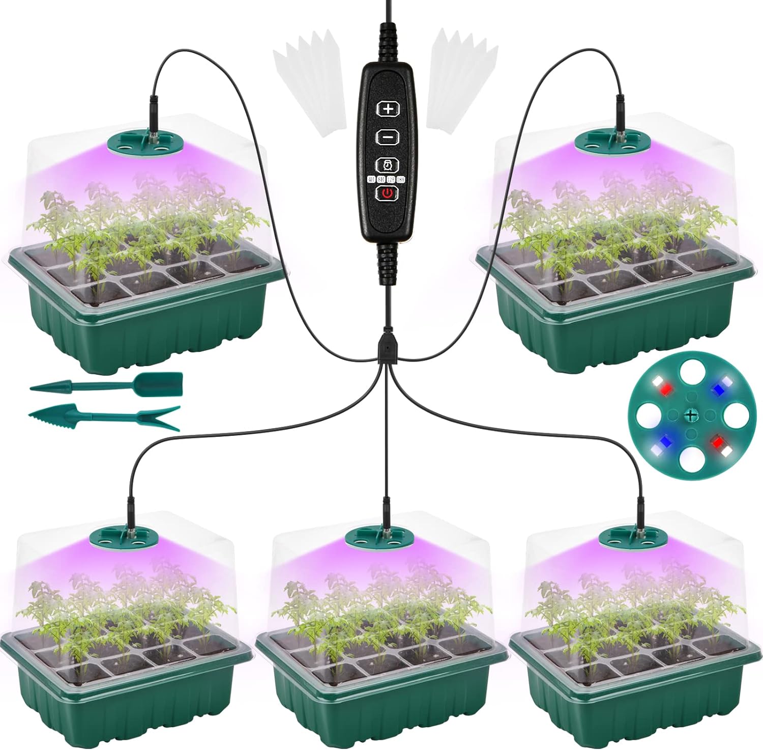 Seed Starter Tray Kit with Grow Light, 5 Pack Seedling Sprouting Trays Indoor Gardening Gifts Supplies Kit