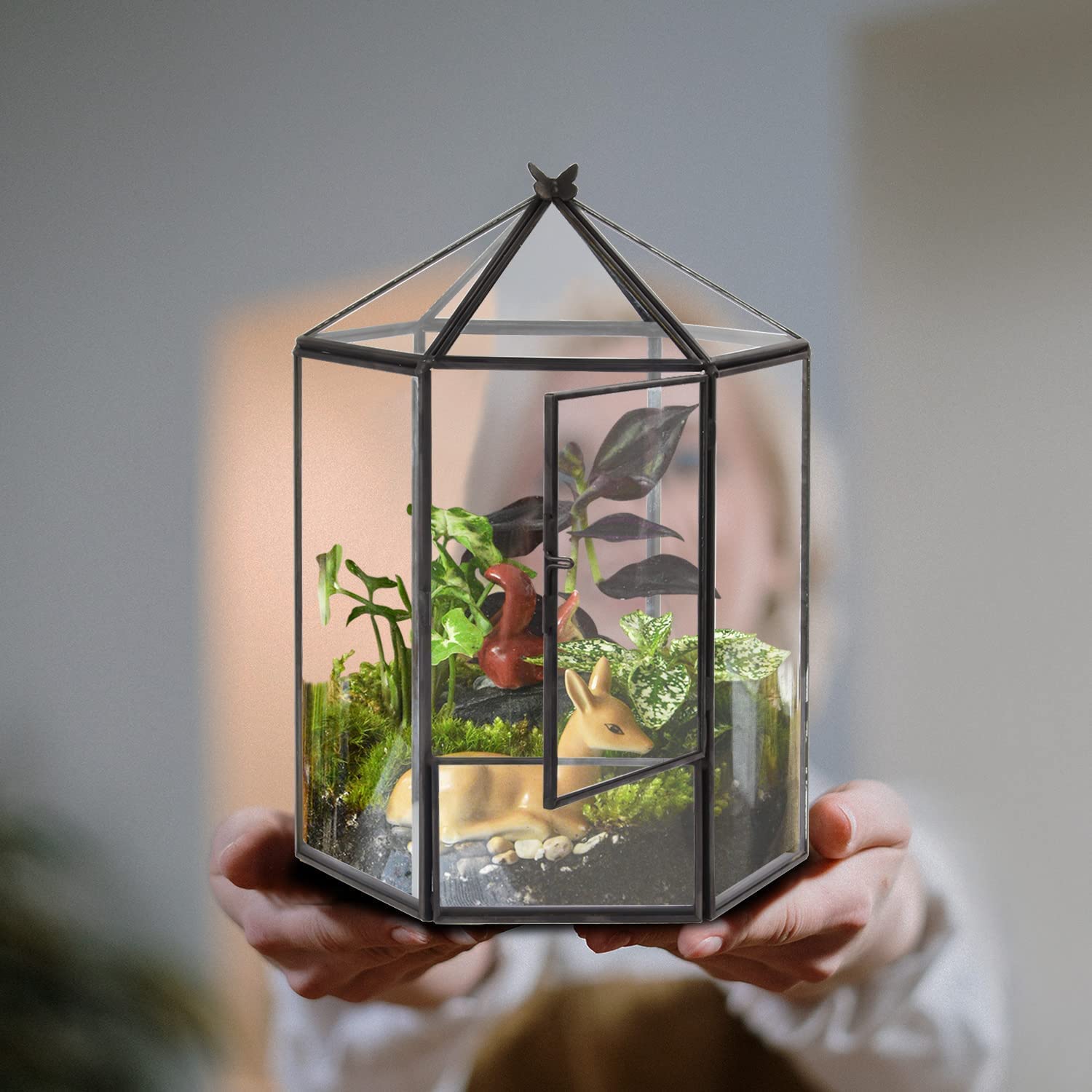 Glass Geometric Terrarium Plant Pot