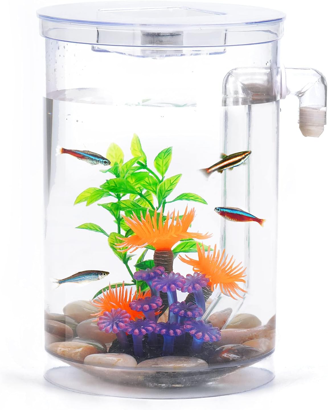 Betta Fish Tank 1 Gallon 360 Aquarium with LED Light, Small Fish Tank Starter Kit, Beta Fish Tank Self Cleaning