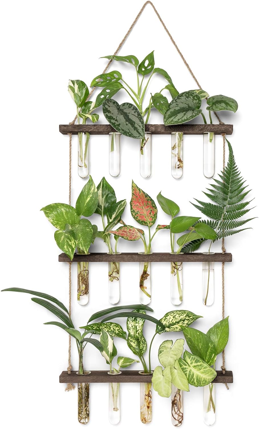 3 Tiered Wall Hanging Terrarium with Wooden Stand Mini Test Tube Flower Vase Glass Planter Stations