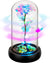 Light Up Rose in Glass Dome for Women Valentines Day Gifts