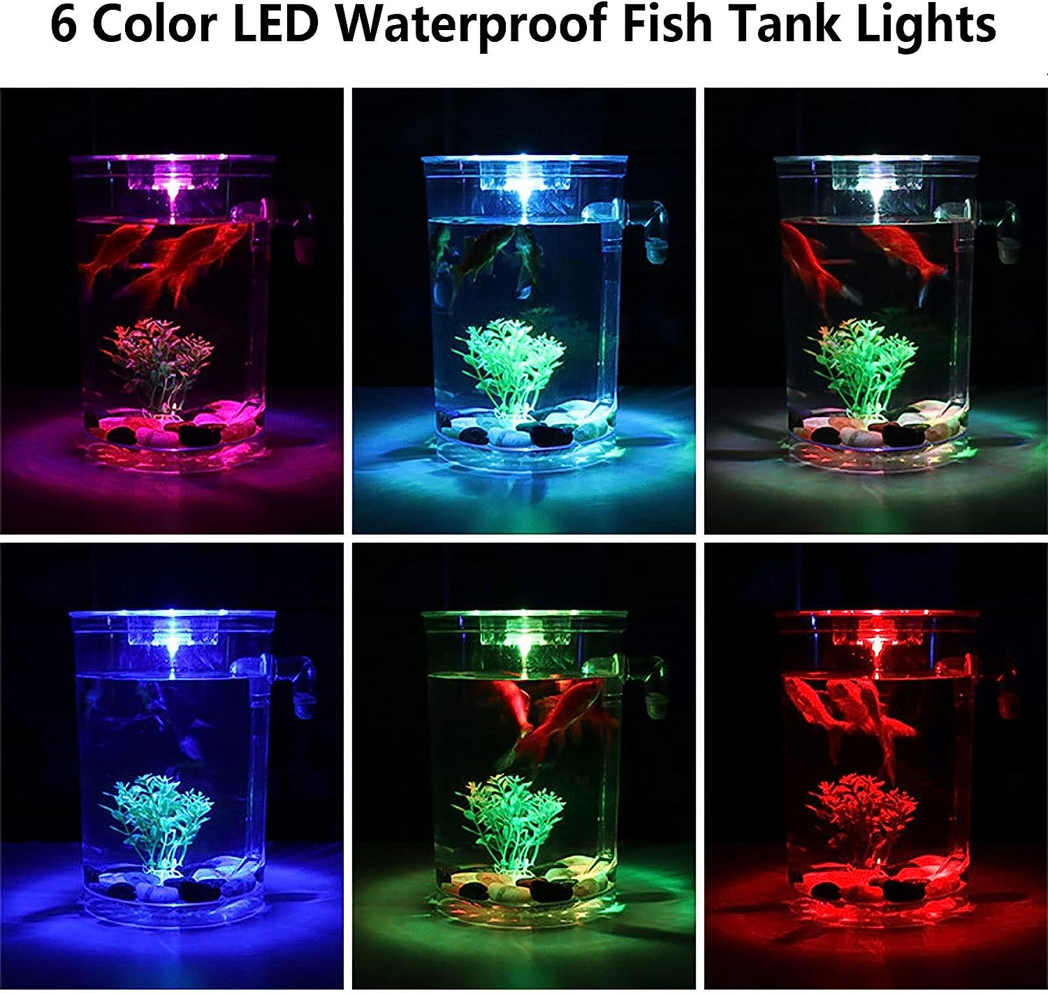 Betta Fish Tank 1 Gallon 360 Aquarium with LED Light, Small Fish Tank Starter Kit, Beta Fish Tank Self Cleaning