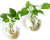 Hanging Terrarium Glass Container Wall Plant Flower Vase, Egg Shape, 2 Pack