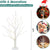 Christmas Decor 2FT Birch Tree with LED Lights, White