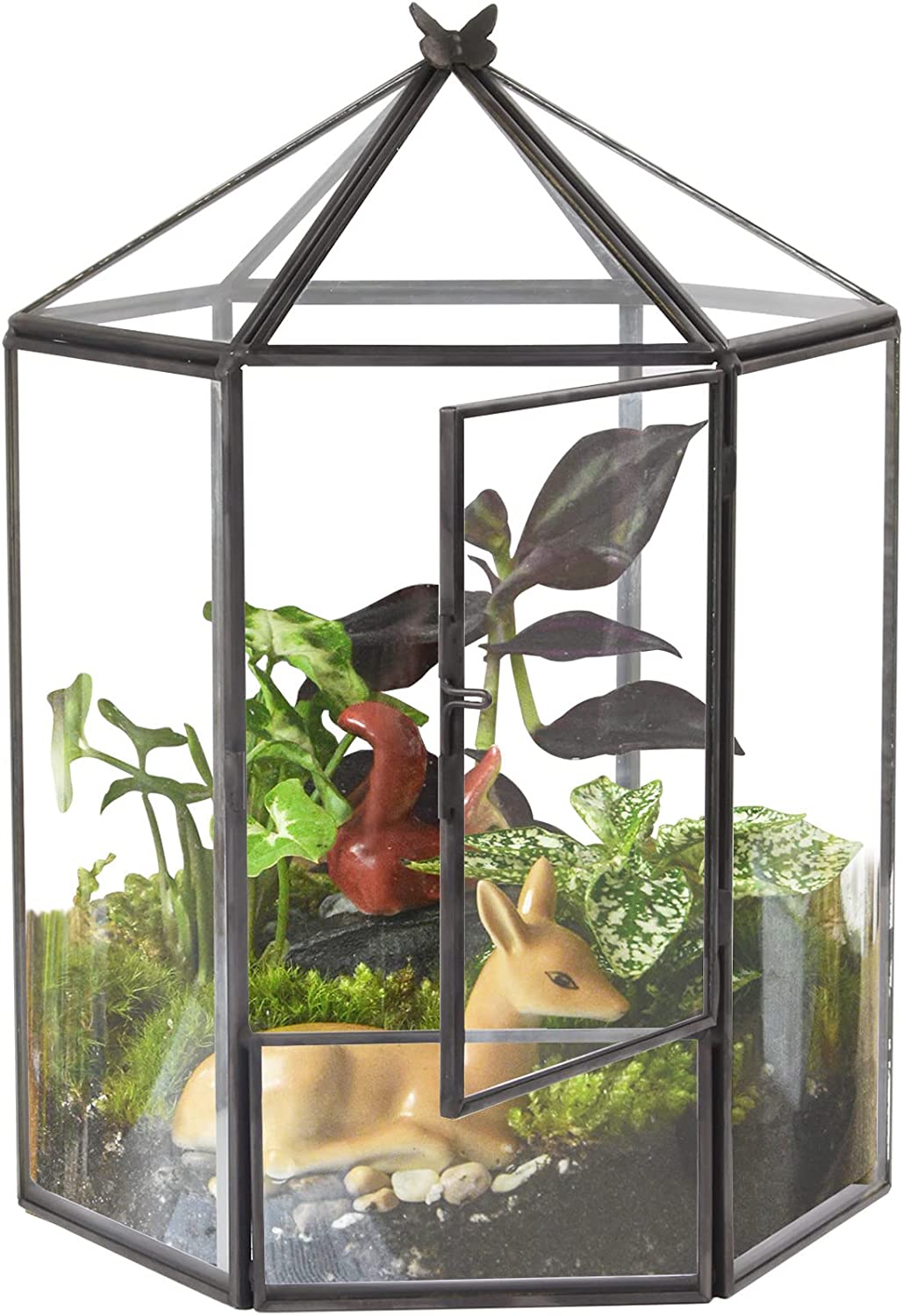 Glass Geometric Terrarium Plant Pot