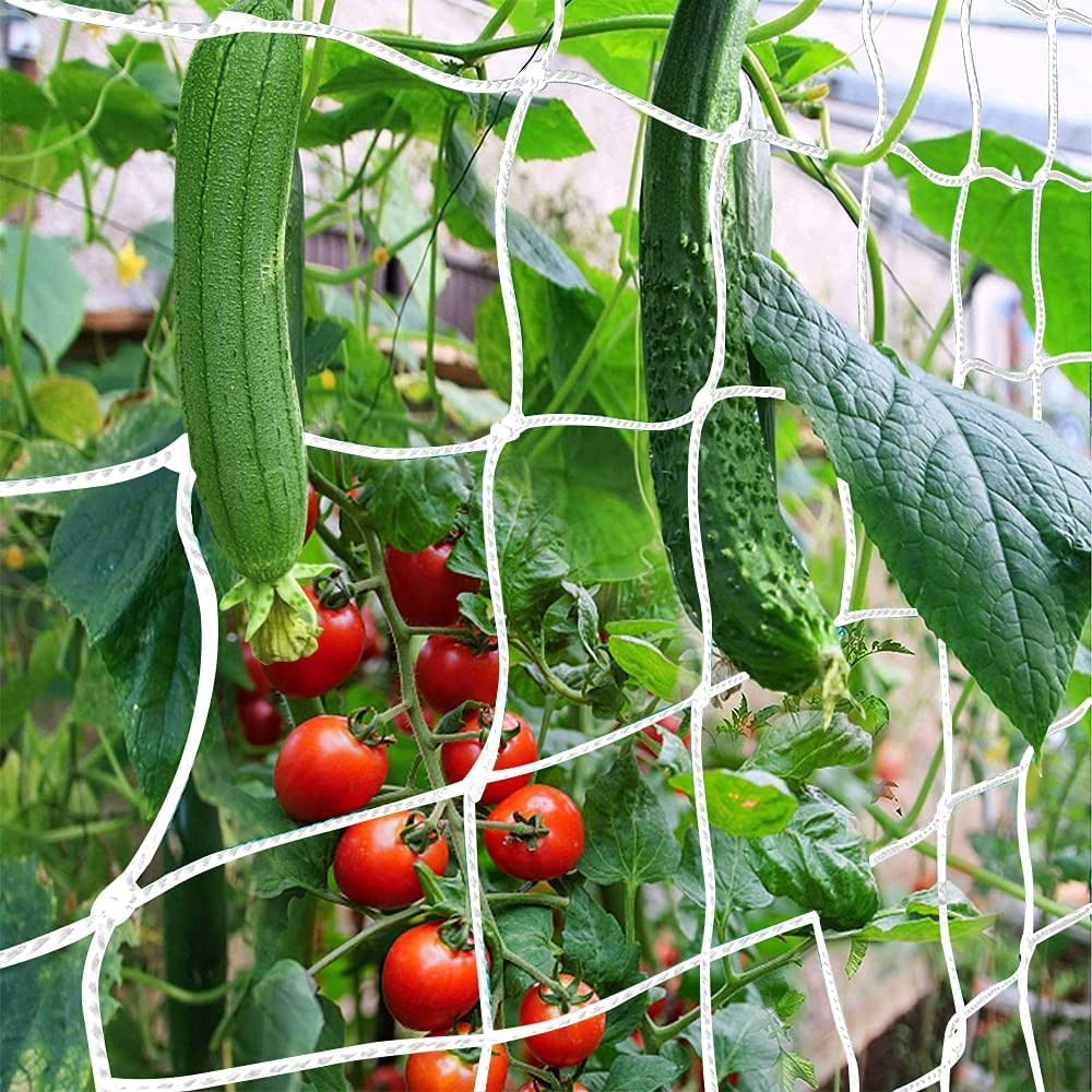 Heavy-Duty Garden Plant Trellis Netting for Climbing Plants 𝟔 𝐱 𝟑𝟎𝐟𝐭, 𝟏 𝐏𝐚𝐜𝐤