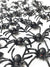 Halloween Decorations 30PCS Plastic Spider Toys Halloween