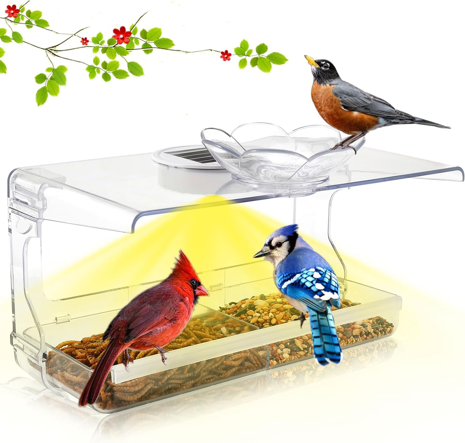 Bird Feeder Solar Window Bird Feeder with Non-Marking Self-Adhesive Hooks