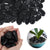 Decorative Ornamental Black Pebbles 3lb Black River 1-2" Rocks