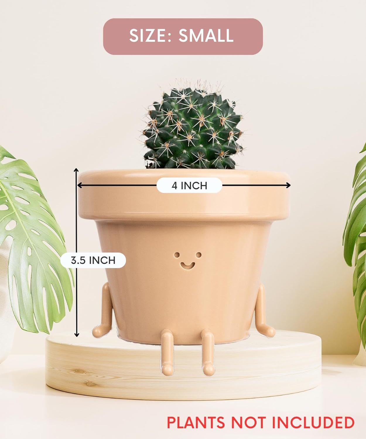 3.5" Face Flower Pot - Indoor Plant Pot with Unique Charm