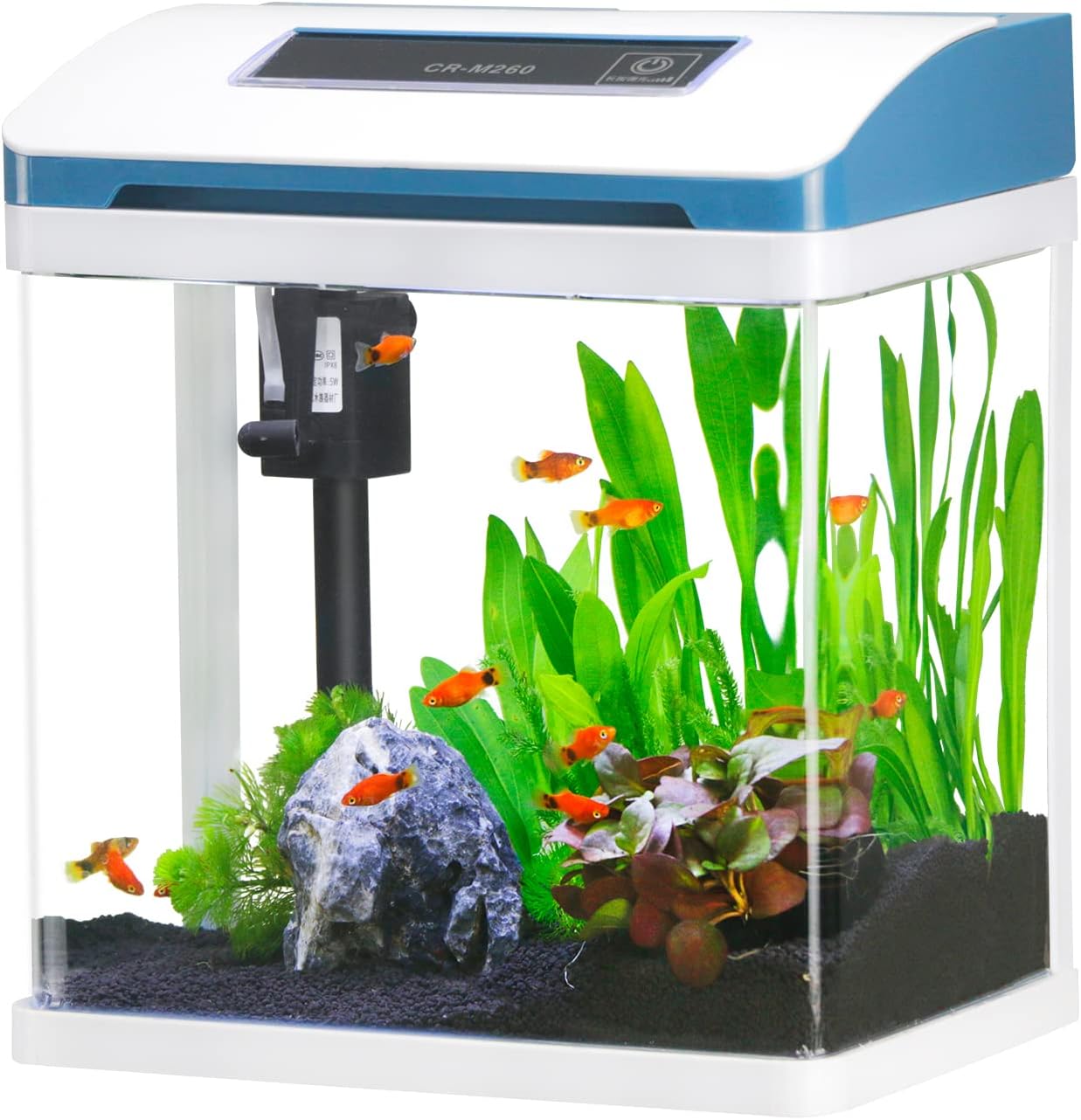 Small Glass Fish Tank, Self Cleaning with Colorful LED Light for Betta and Guppy