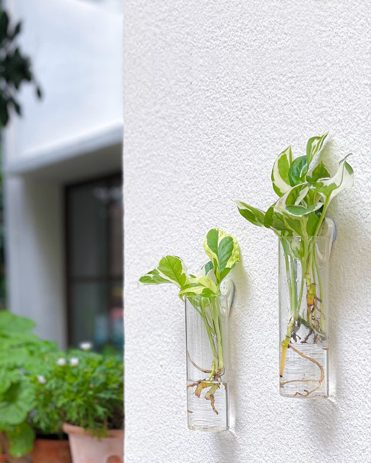 Hanging Terrarium Glass Container Wall Plant Flower Vase - 4 Pieces