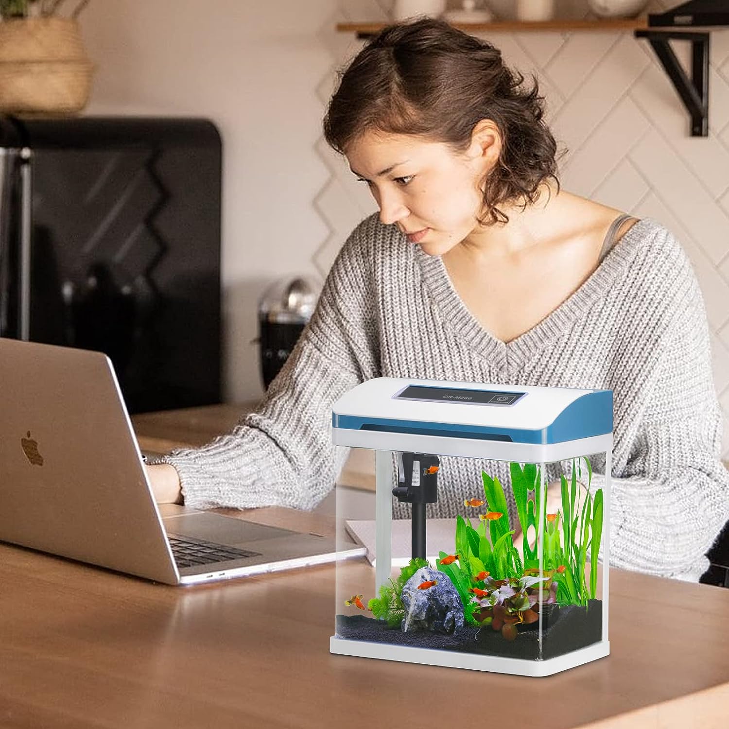 Small Glass Fish Tank, Self Cleaning with Colorful LED Light for Betta and Guppy