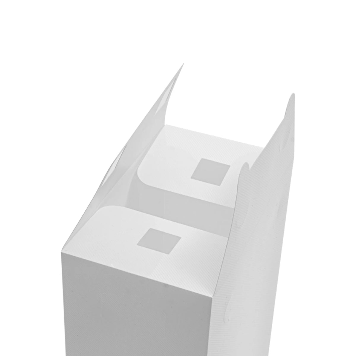 Transparent Foldable Shoe Organizer Bins 24PCS