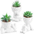 Fake Plants Artificial Succulents Plants 3 Packs for Room Bathroom Home Decor