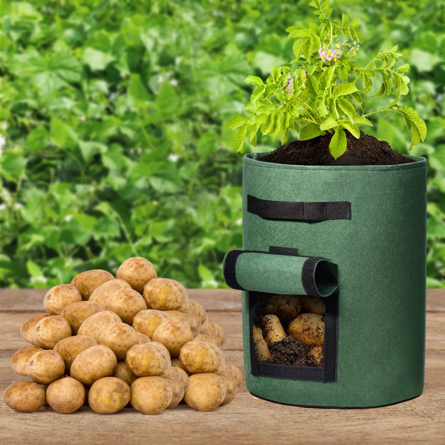 Grow Potato Bags with Handles Green 10 Gallon, 5 Pack