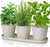 Set of 3 Garden Planter with Tray & Drainage Holes to Grow Fresh Herbs at Home