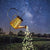 Garden Decor Solar Garden Watering Can Lights LED Hanging Lantern Decor (Warm White)