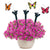 Solar Butterfly 3 Pcs Garden Stakes Decorative Solar Powered, Battery Operated (BATTERY NOT INCLUDED)