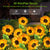 Garden Decor Outdoor Lamp Lights 3 Pack Solar Garden Lights with 9 Sunflower Lights