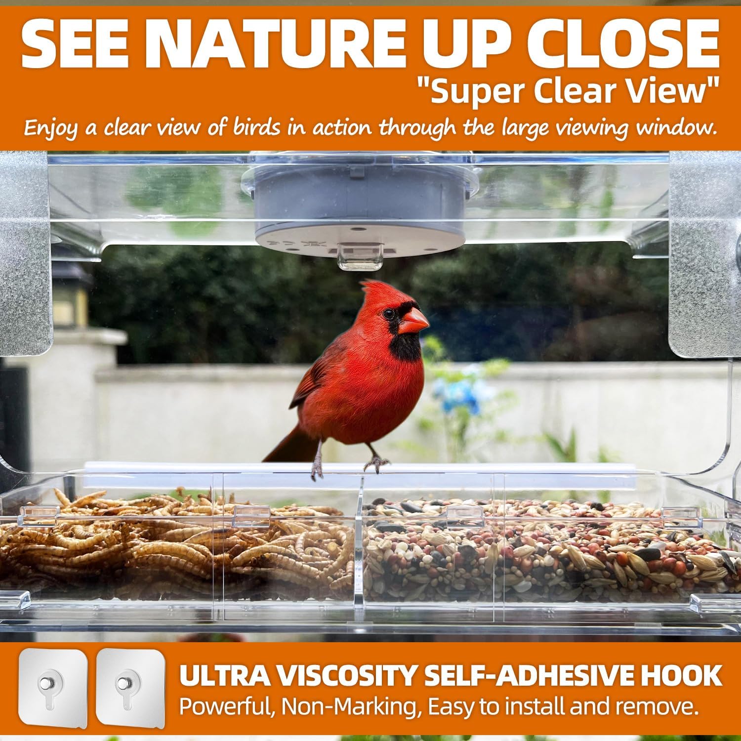 Bird Feeder Solar Window Bird Feeder with Non-Marking Self-Adhesive Hooks