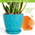 Flower Pots 6" Outdoor Planter Planting with Drainage Holes, 5 Pack with Tray Saucers for All Home Gardens Succulents