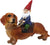 Gnome and a Dachshund Garden Gnome Statue for Patio, Yard or Lawn