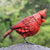 Garden Decor Cardinal Bird Decor, Beautiful Backyard Ideas & Cardinal Gifts