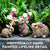 Set of 3 Bunny Decoration Yard Decorations for Garden Outdoor, Brown