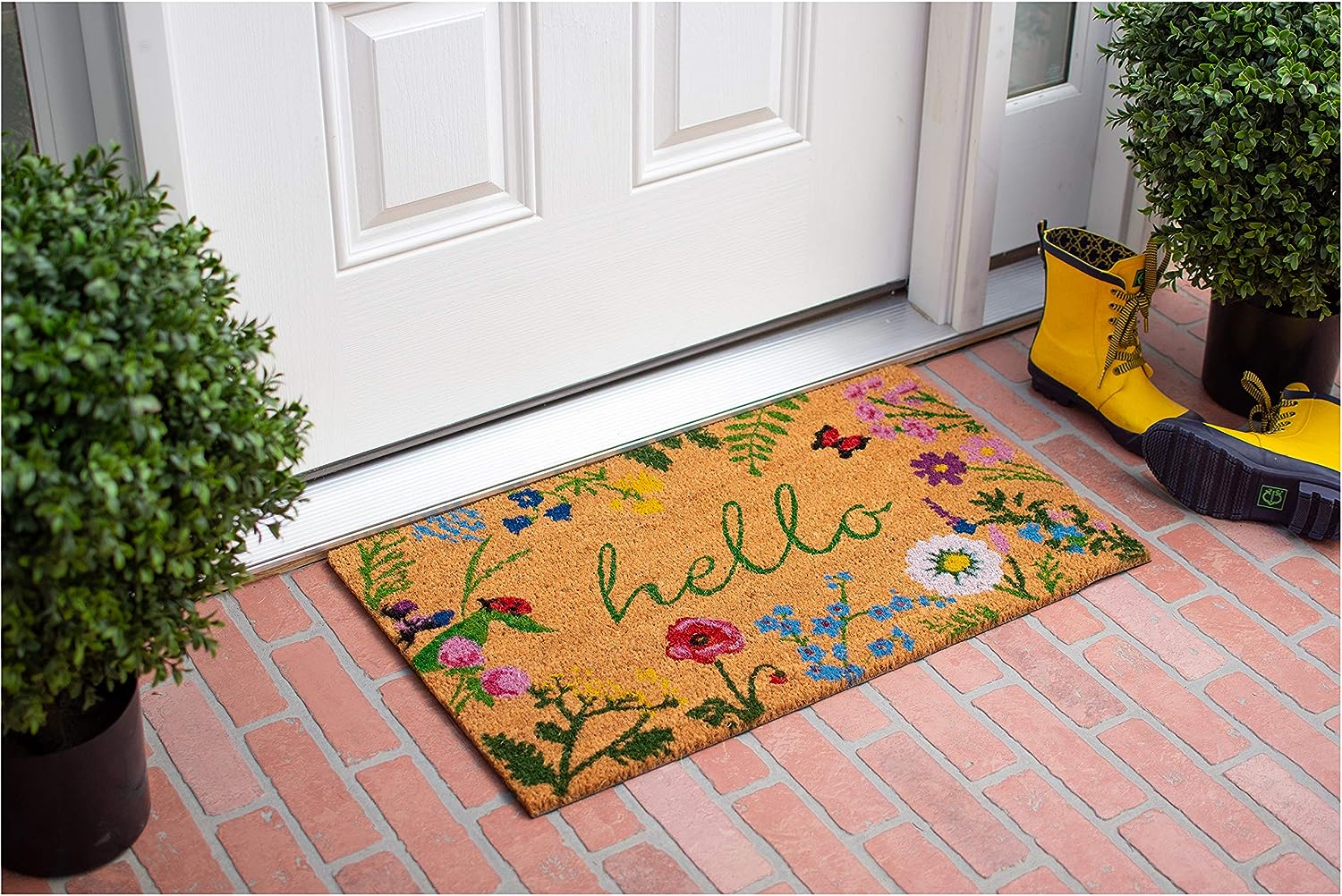 Hello Doormat 17" x 29", Multicolor