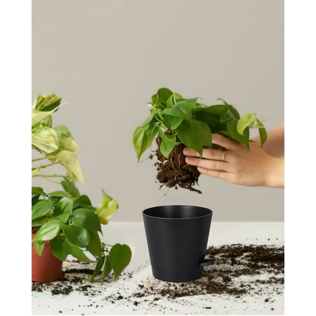 Plastic Plant Pot 6" Set of 6 with Drain Holes and Removable Base