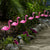 Solar Flamingo Outdoor Lights Set of 10 Stakes, Multi Pink