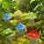 Solar Powered Mushroom String Lights Color Changing Resin Indoor Outdoor Lights