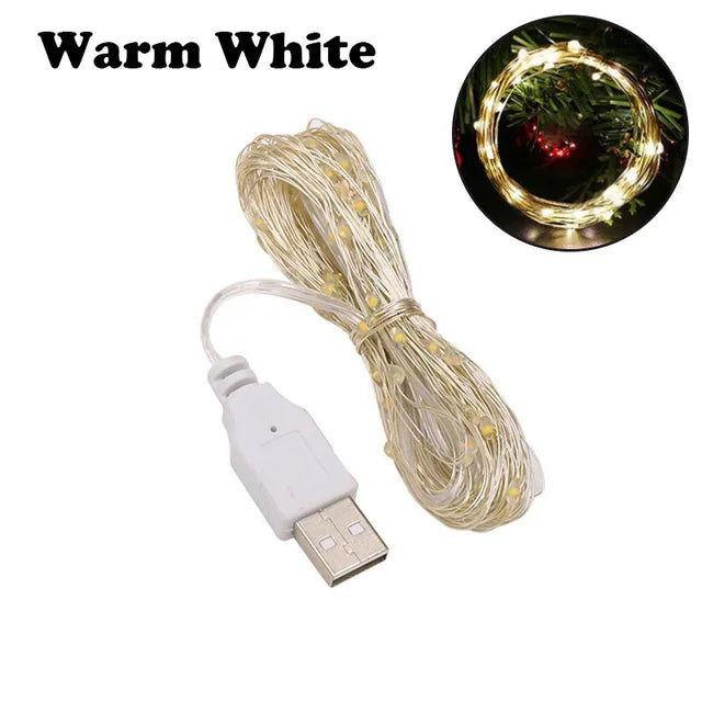 String Lights 5M USB Powered, Silver Wire Fairy Lights (Warm White)