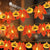 LED Fairy String Lights with Autumn Foliage