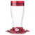 Big Gulp Clear Glass Hummingbird Feeder 10"