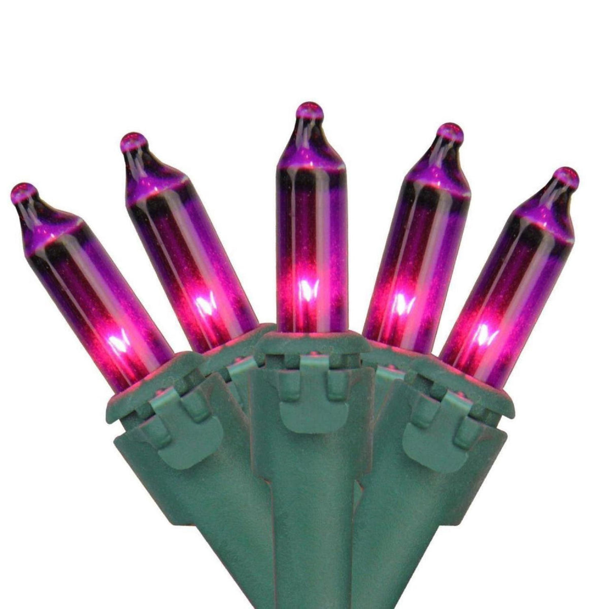 Purple Incandescent Mini Light Set - 50ct String Lights