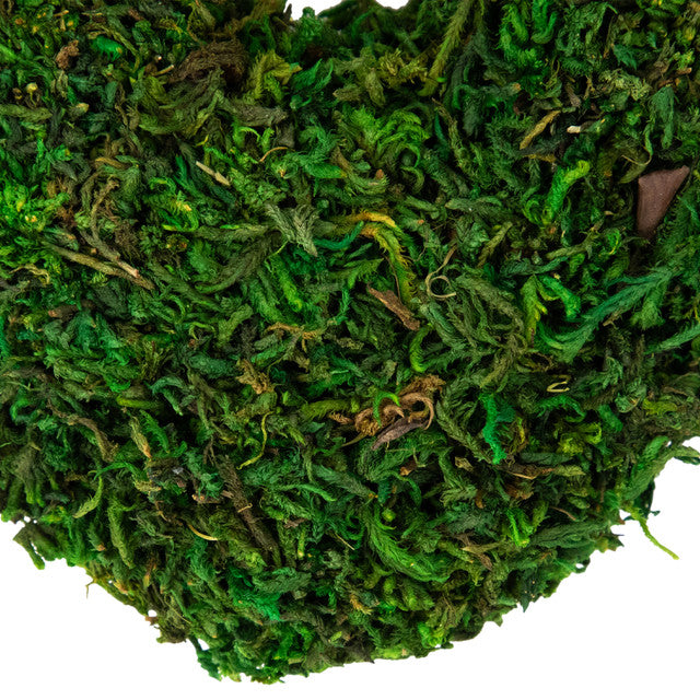 Artificial Green Reindeer Moss Heart Twig Decoration
