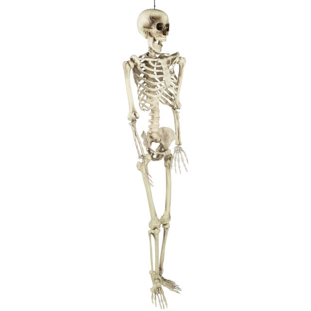 Halloween Decoration 5&#39; Life Size Skeleton Hanging