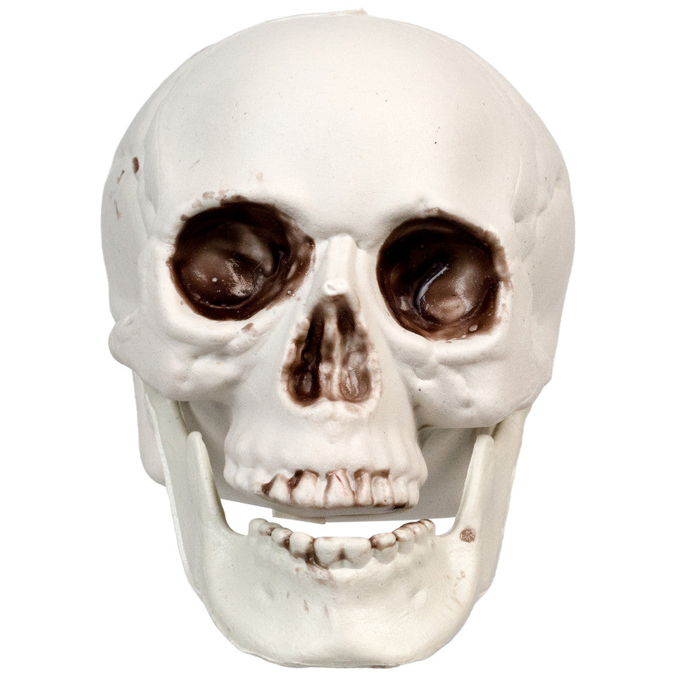 3.5&quot; Skeleton Skull Halloween Decorations 6-Pack