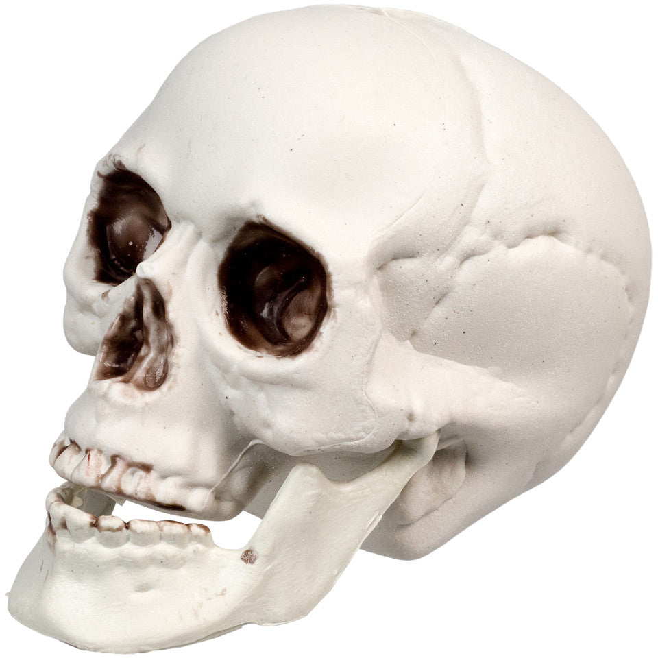 3.5&quot; Skeleton Skull Halloween Decorations 6-Pack