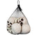 3.5" Skeleton Skull Halloween Decorations 6-Pack