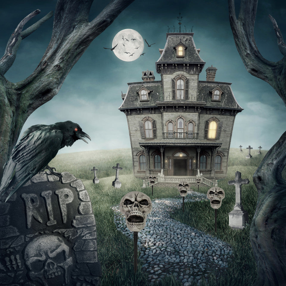 Set of 3 Halloween Skull Yard Stakes Outdoor Graveyard Decorations 15 Inch