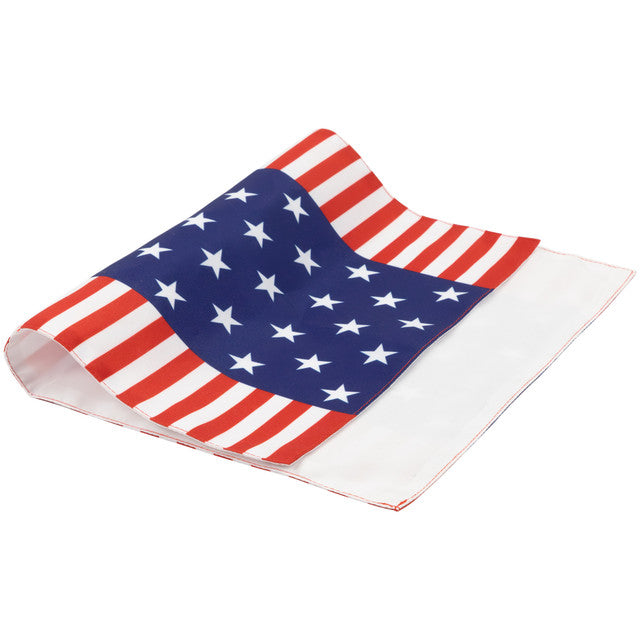 Set of 4 Americana Stars and Stripes Printed Placemats