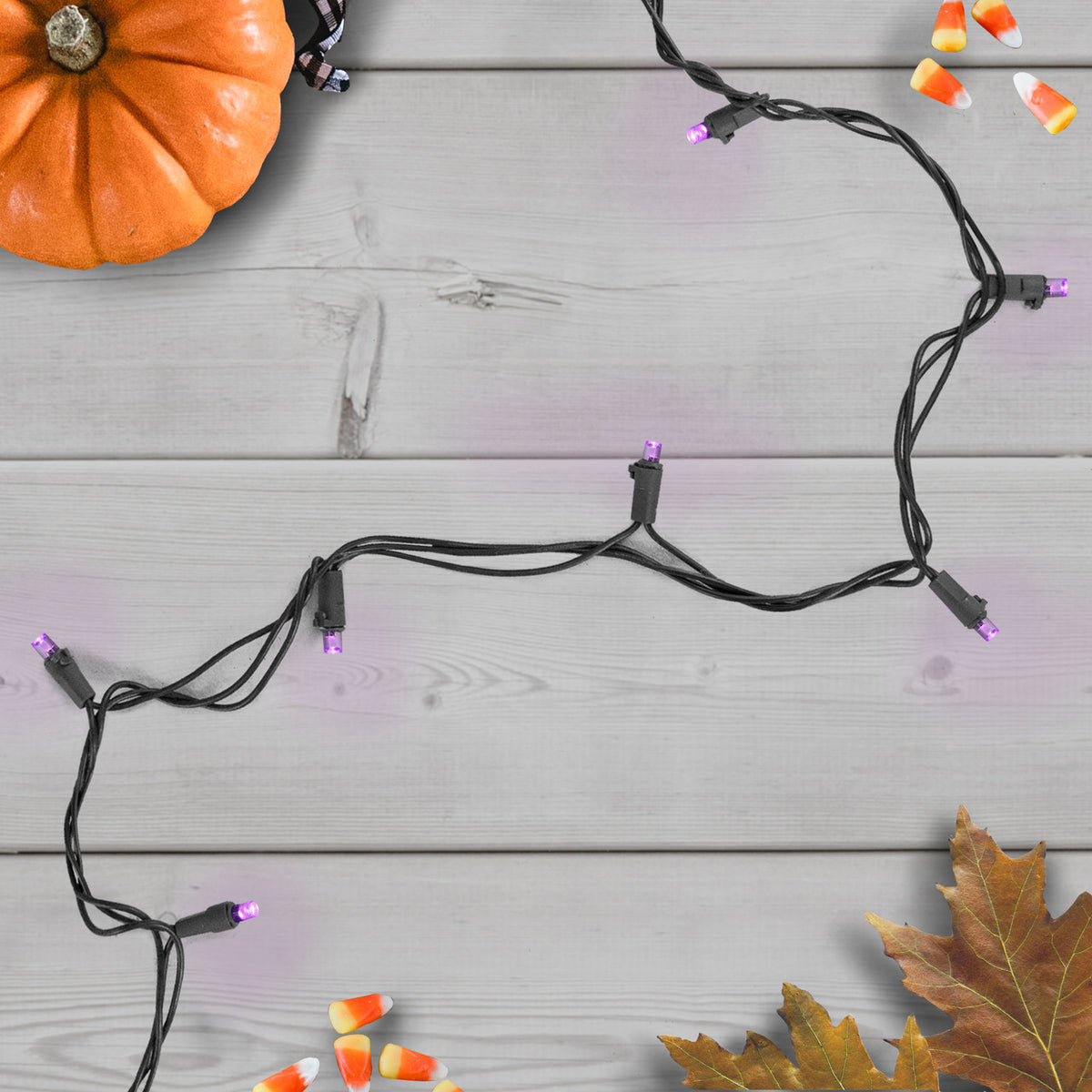 16&#39; Purple Wide Angle LED Lights with Black Wire