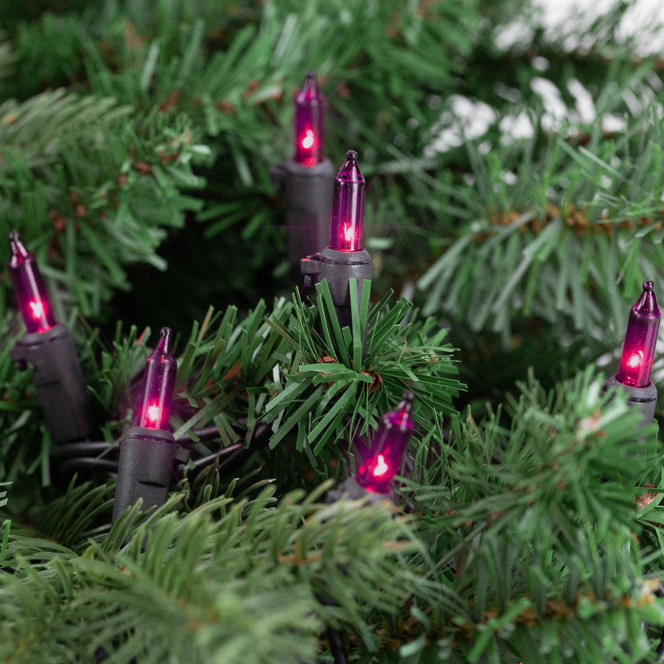 Purple Incandescent Mini Lights 35-Count with 2.5&quot; Spacing for Halloween Decor