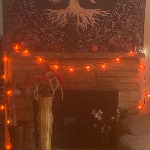 Orange Chili Pepper 35-Count Patio String Lights, 22.5ft