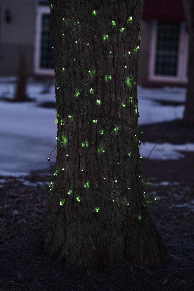 2&#39; x 8&#39; Green LED Tree Trunk Wrap Net Lights - Brown Wire